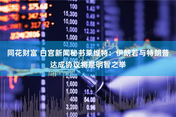 同花财富 白宫新闻秘书莱维特：伊朗若与特朗普达成协议将是明智之举