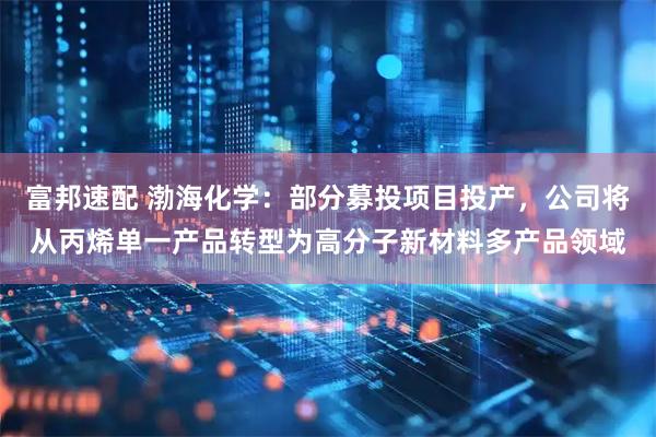 富邦速配 渤海化学：部分募投项目投产，公司将从丙烯单一产品转型为高分子新材料多产品领域
