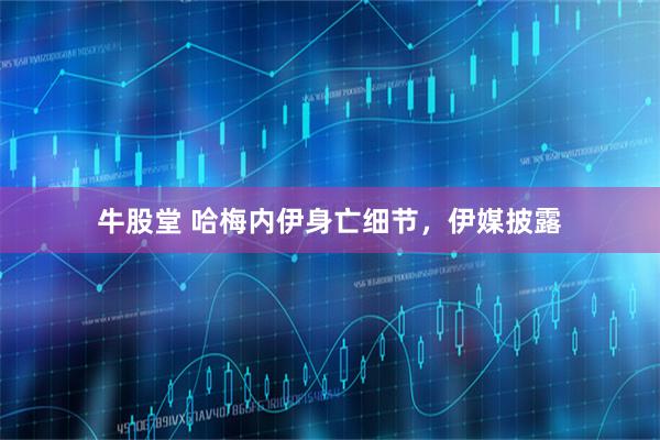 牛股堂 哈梅内伊身亡细节，伊媒披露