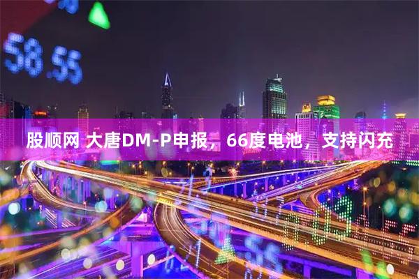 股顺网 大唐DM-P申报，66度电池，支持闪充