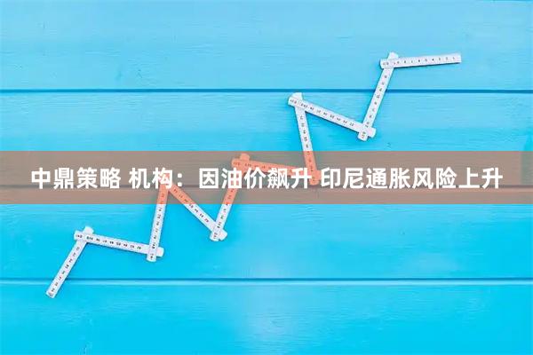 中鼎策略 机构：因油价飙升 印尼通胀风险上升