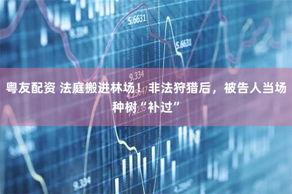 粤友配资 法庭搬进林场！非法狩猎后，被告人当场种树“补过”