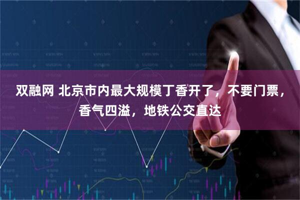 双融网 北京市内最大规模丁香开了，不要门票，香气四溢，地铁公交直达