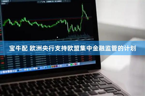 宝牛配 欧洲央行支持欧盟集中金融监管的计划