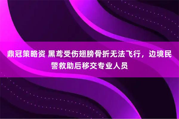 鼎冠策略资 黑鸢受伤翅膀骨折无法飞行，边境民警救助后移交专业人员