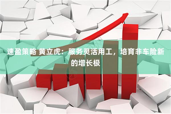 速盈策略 黄立虎：服务灵活用工，培育非车险新的增长极