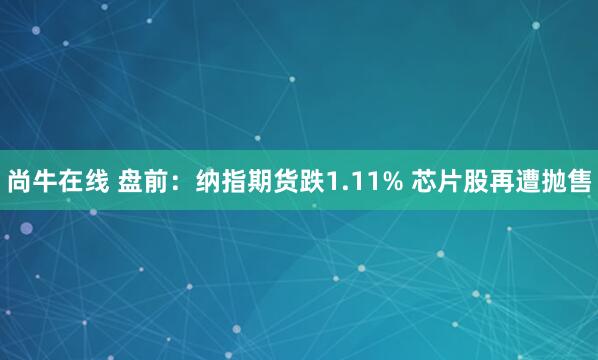 尚牛在线 盘前：纳指期货跌1.11% 芯片股再遭抛售