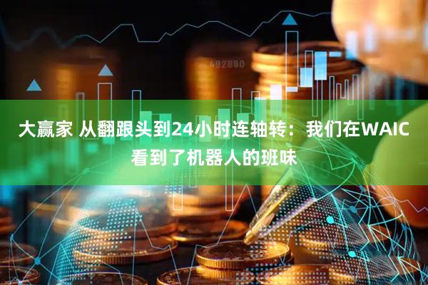 大赢家 从翻跟头到24小时连轴转：我们在WAIC看到了机器人的班味